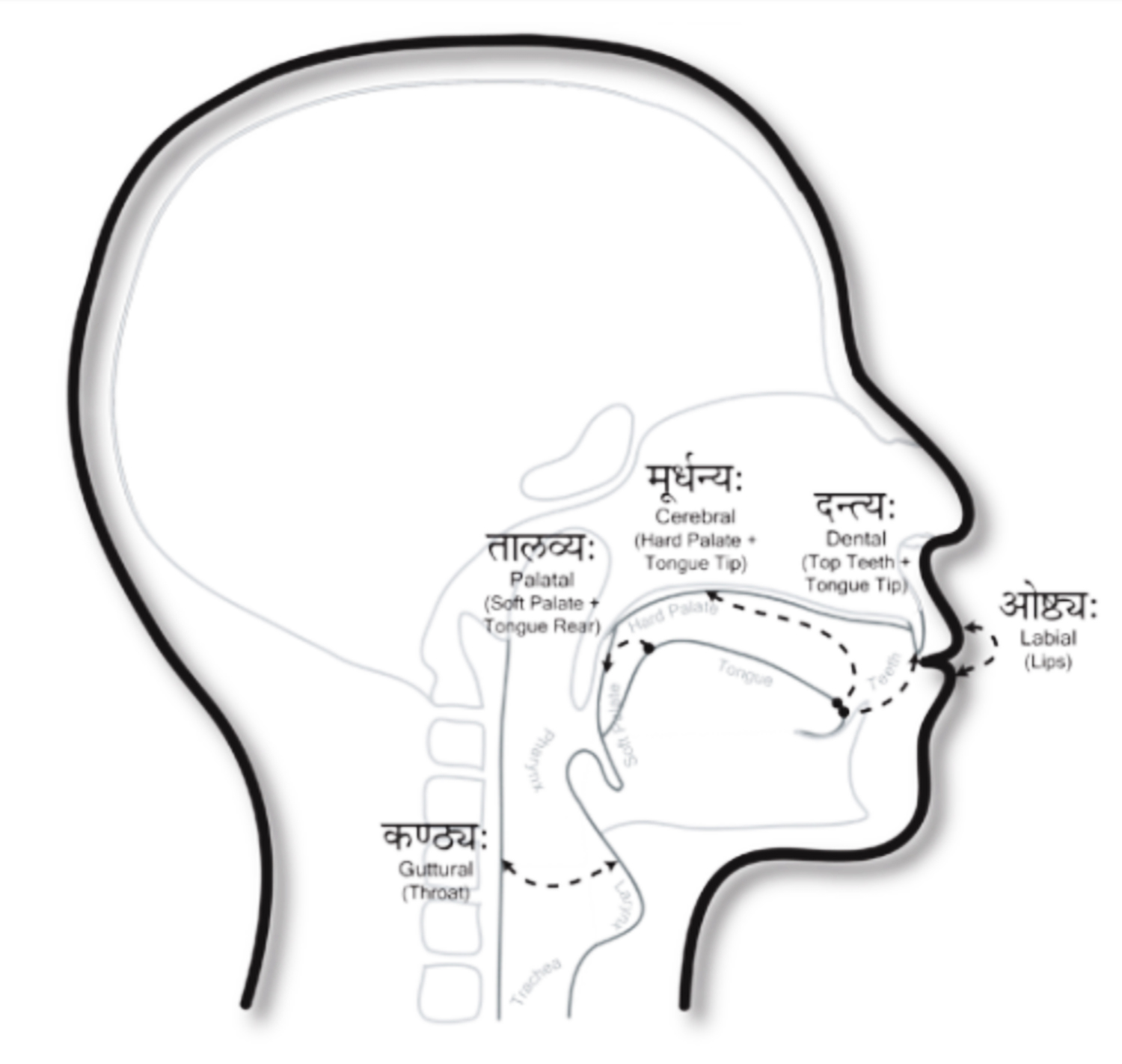 Speech diagram